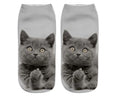 Cat Print Socks